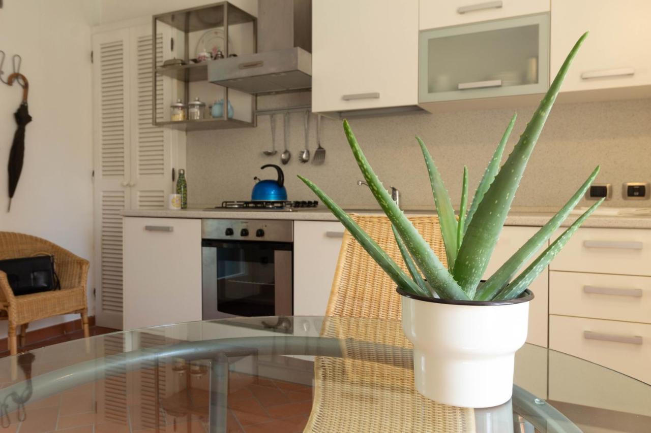 Mamma Ciccia Holiday Home - Conventino Mandello del Lario Exterior photo